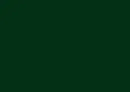 Dark green aluminium door colour