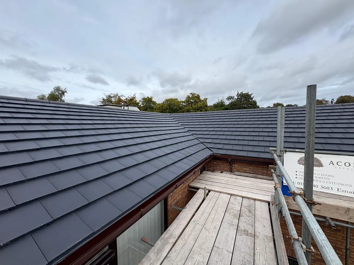 The completed roof seen from the scaffold