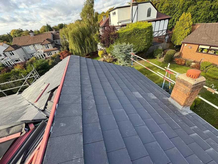 The completed roof seen from the scaffold