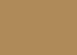 Gold pearl aluminium door textured finish